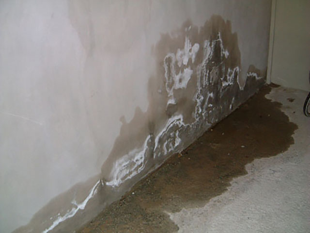 Tường nhà bị thấm