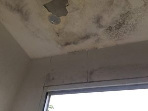 Trần nhà bị thấm dột